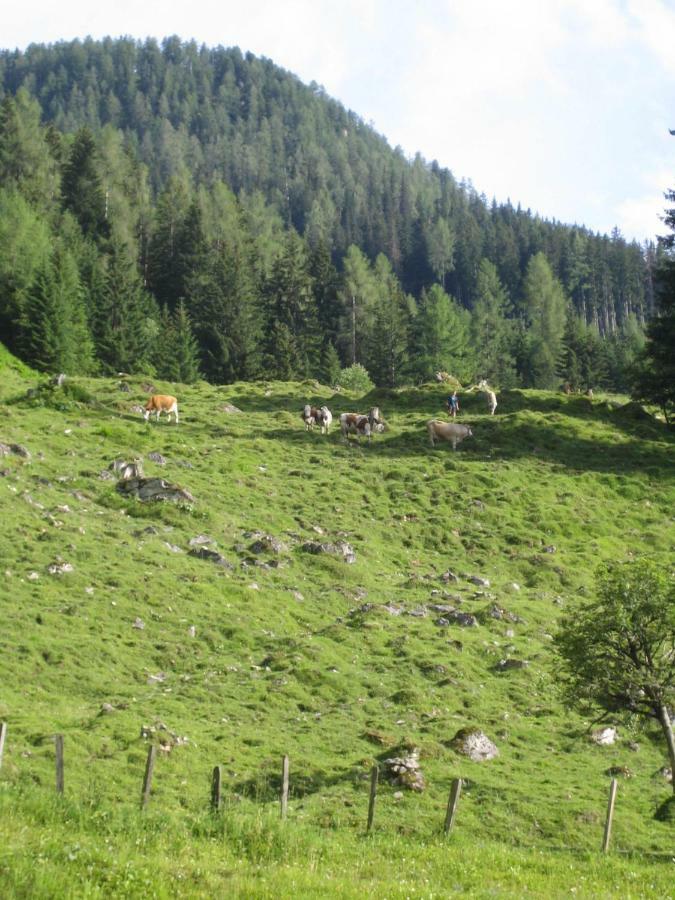 Pension Hedegghof Grossarl Luaran gambar